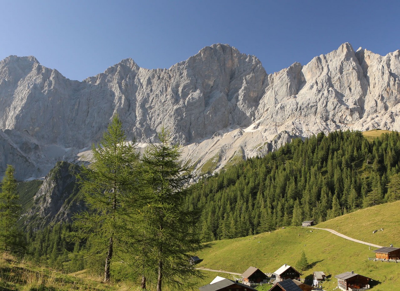 Sommerurlaub in der Pension Schweigerhof in Ramsau am Dachstein.